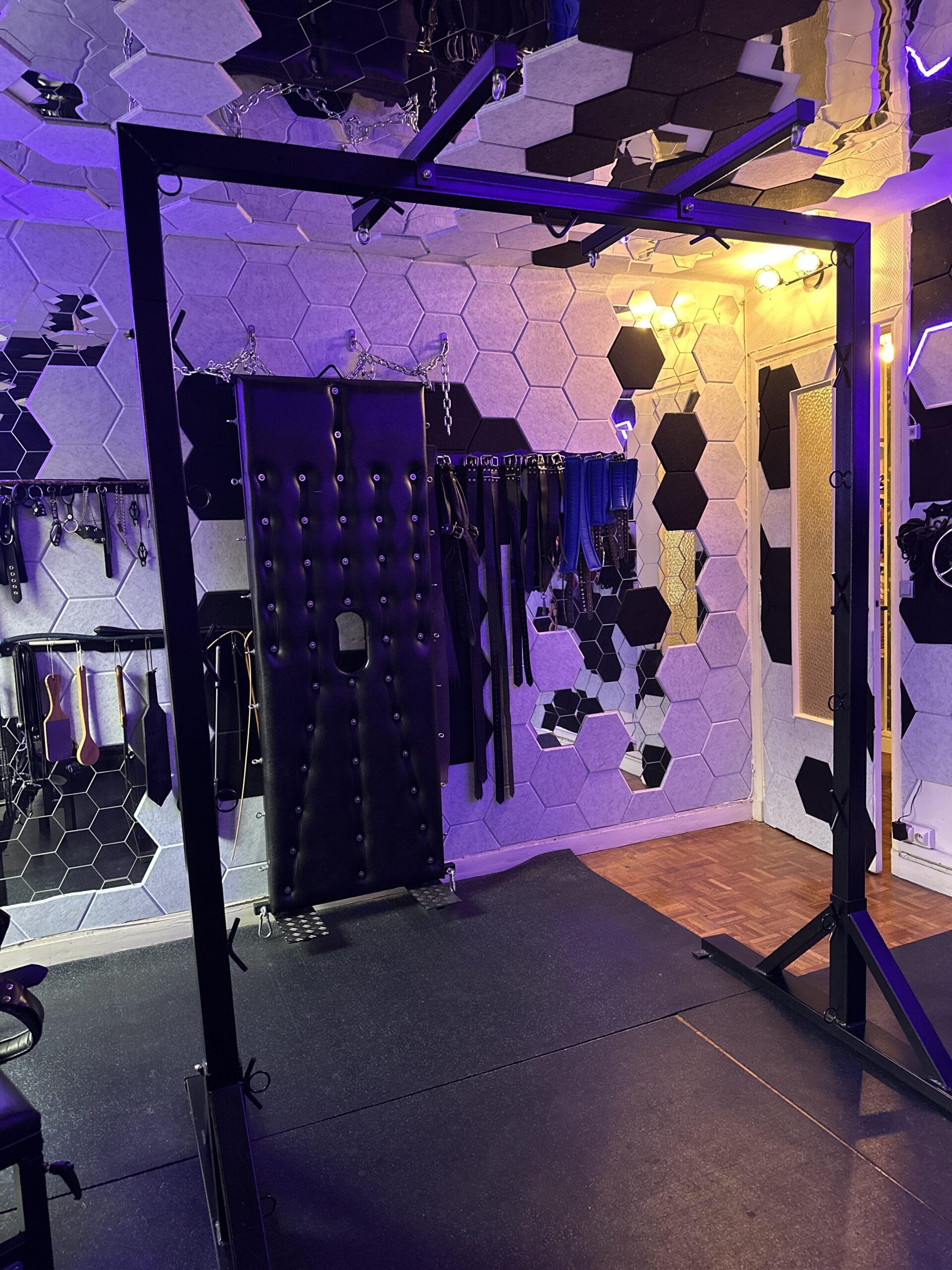 bondage suspension rig